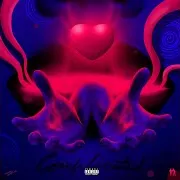 Complicated Ft Bad Junkie & The Lekhak